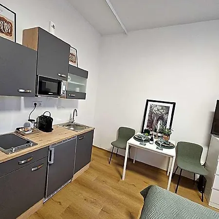 Apartment Stadtoase Wels